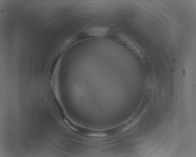 X0000051240069200506241532