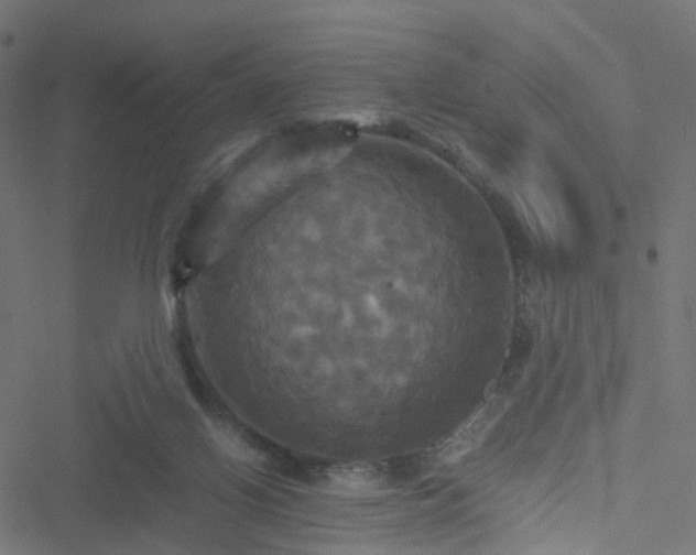 X0000051240070200506241532