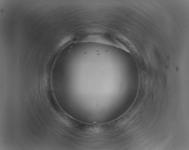 X0000051240071200506241532