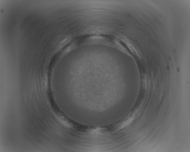 X0000051240072200506241532