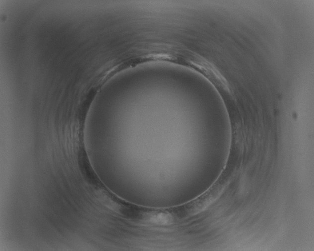 X0000051240073200506241532