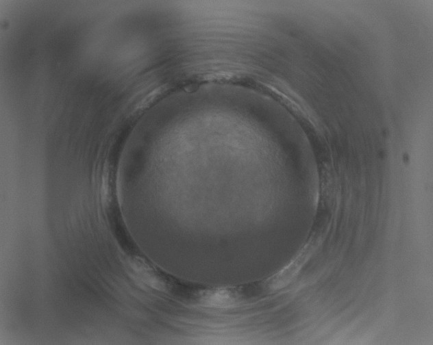 X0000051240074200506241532