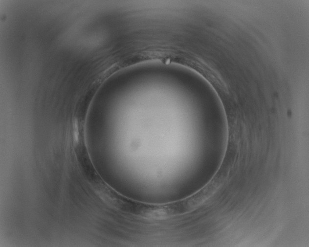 X0000051240075200506241532