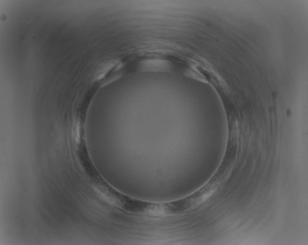 X0000051240076200506241532