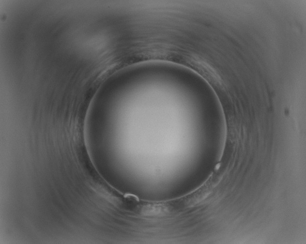 X0000051240077200506241532