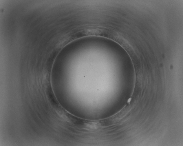 X0000051240079200506241532