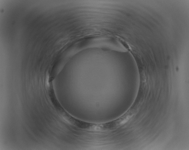 X0000051240080200506241532