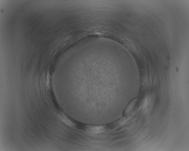 X0000051240081200506241532