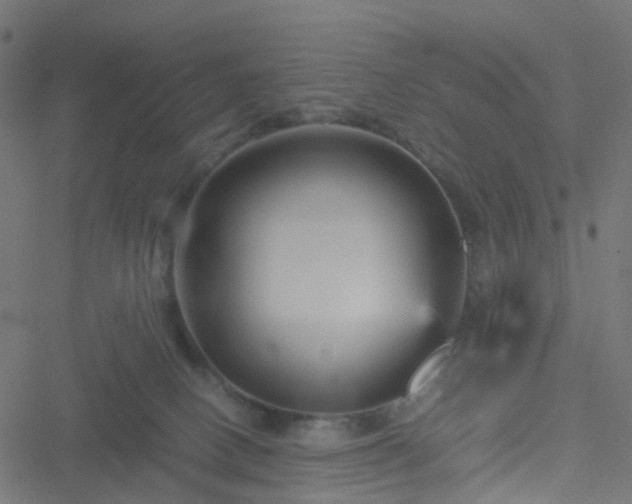 X0000051240082200506241532