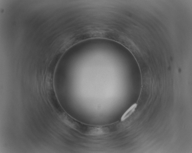 X0000051240083200506241532