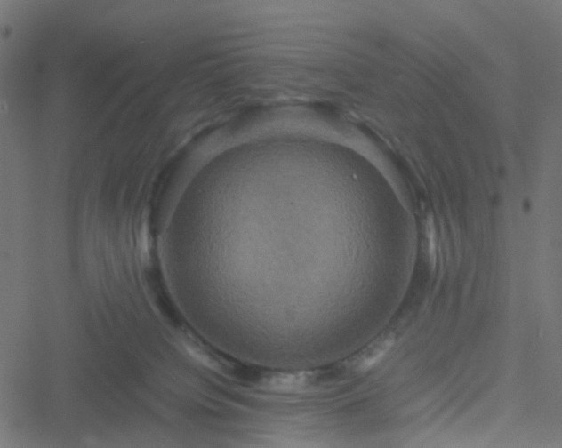 X0000051240084200506241532