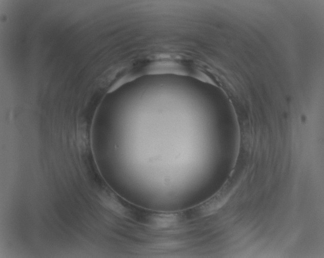 X0000051240085200506241532