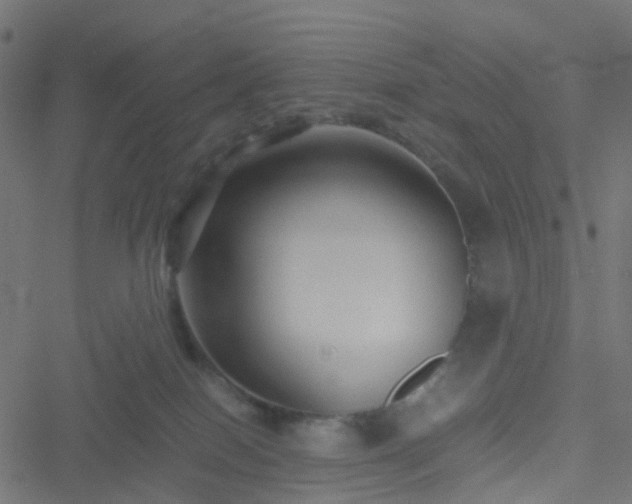 X0000051240086200506241532