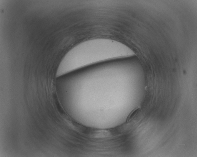 X0000051240087200506241532