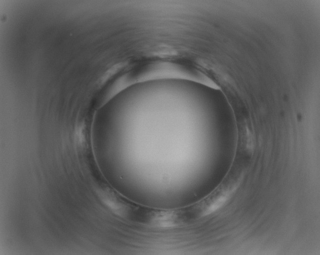 X0000051240088200506241532