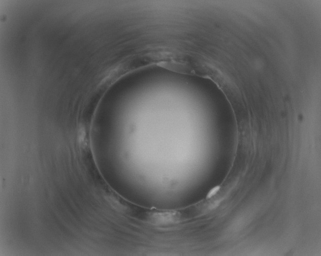 X0000051240089200506241532