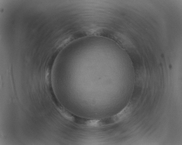 X0000051240090200506241532