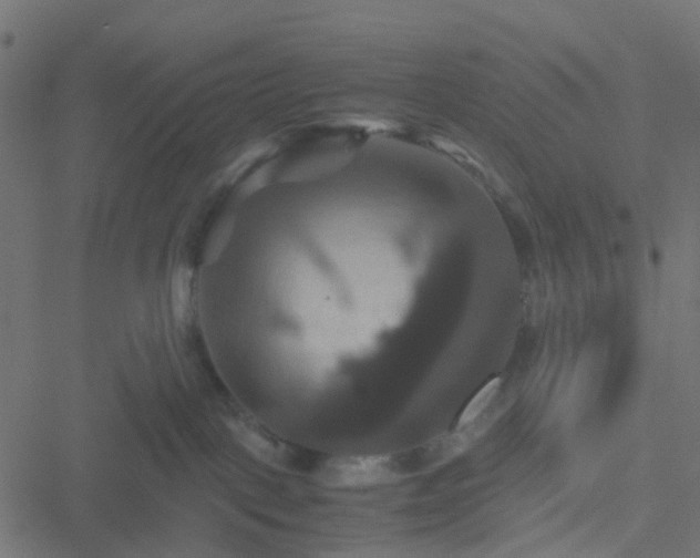 X0000051240093200506241532