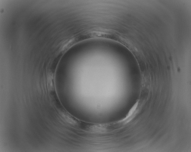 X0000051240094200506241532