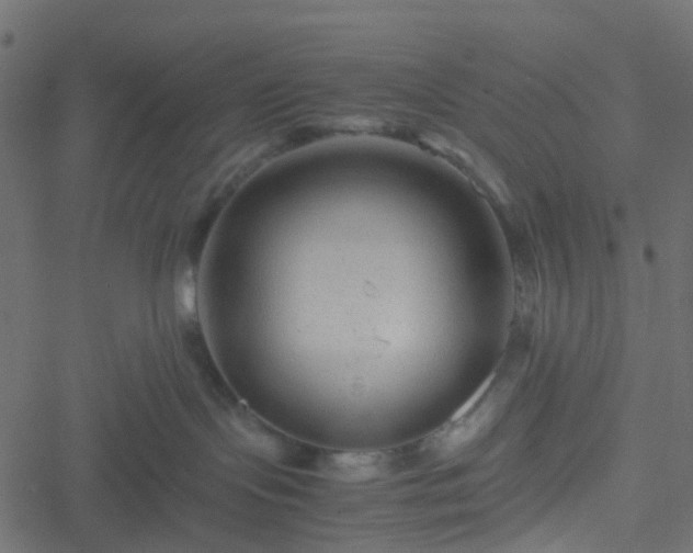 X0000051240095200506241532