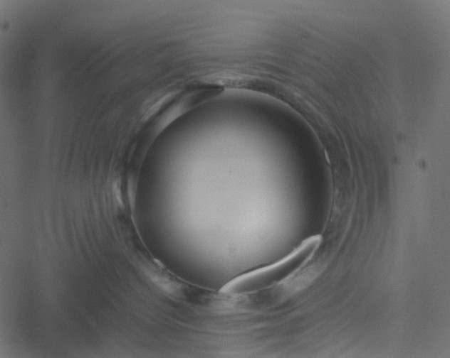 X0000051240096200506241532