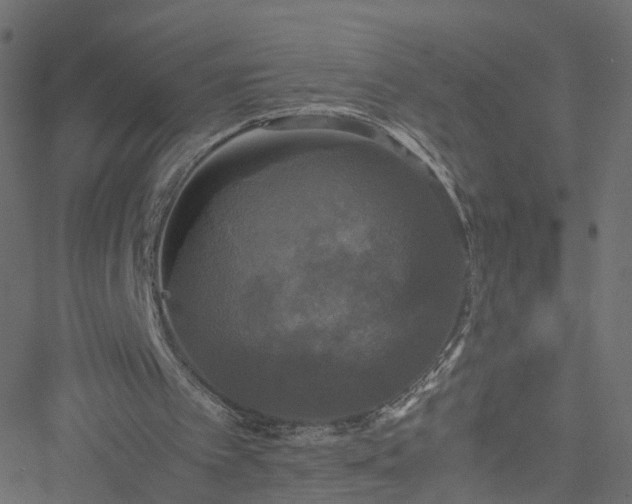 X0000051240097200506241531