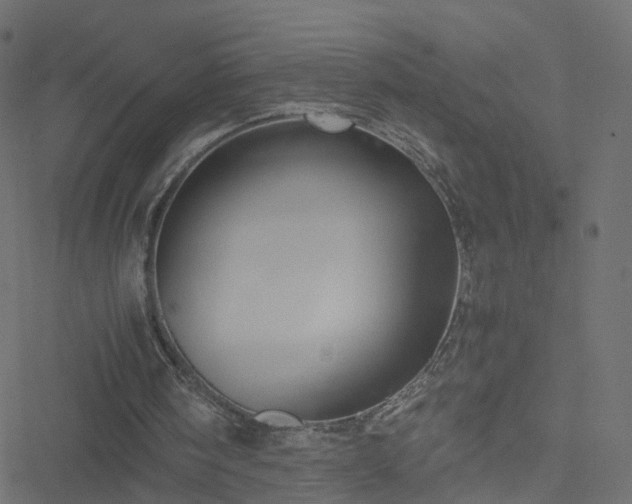 X0000051240098200506241531