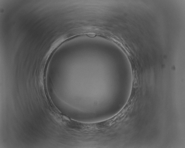 X0000051240099200506241531