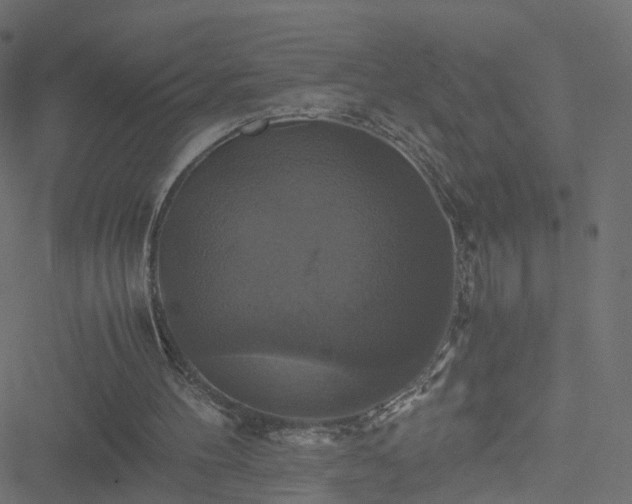 X0000051240100200506241531