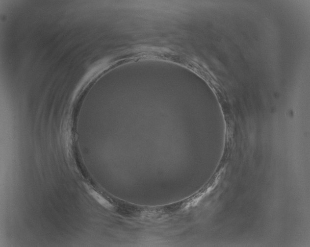 X0000051240101200506241531