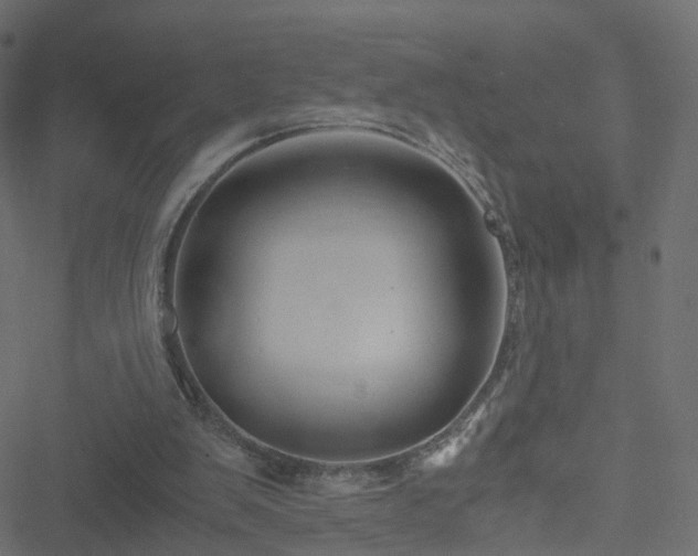 X0000051240103200506241531