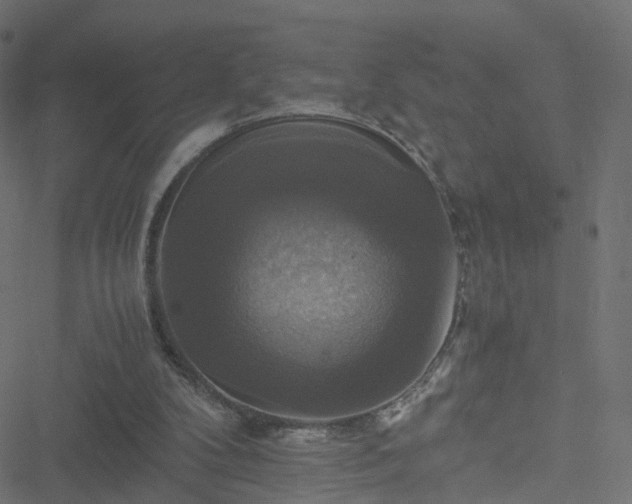 X0000051240104200506241531