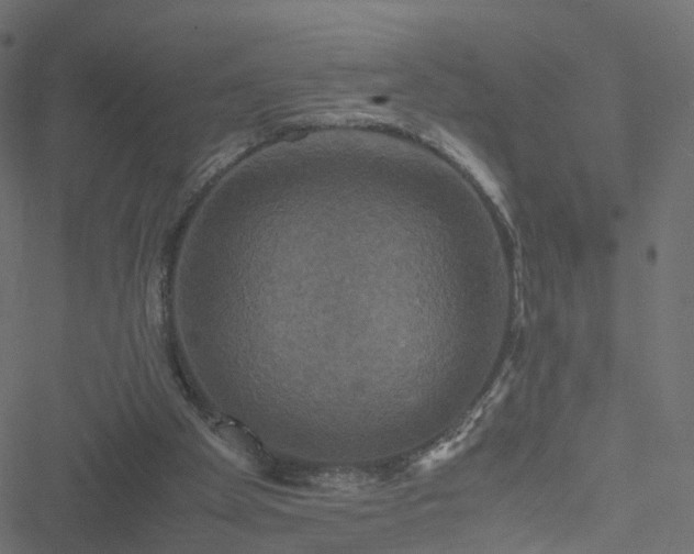 X0000051240105200506241531