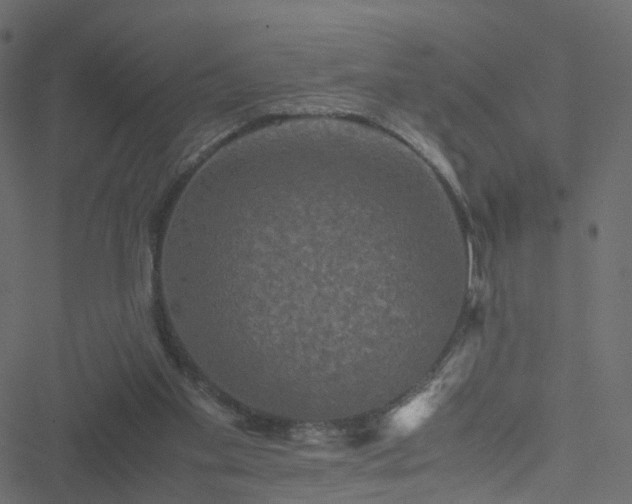 X0000051240109200506241531