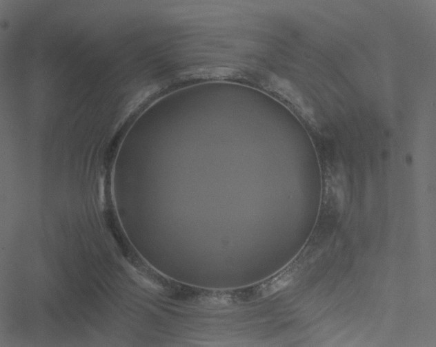 X0000051240110200506241531