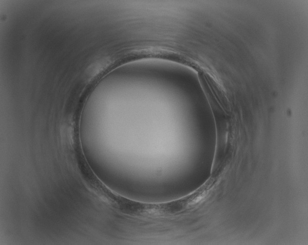 X0000051240111200506241531