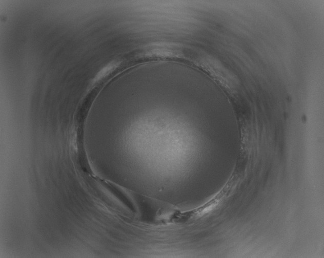 X0000051240112200506241531