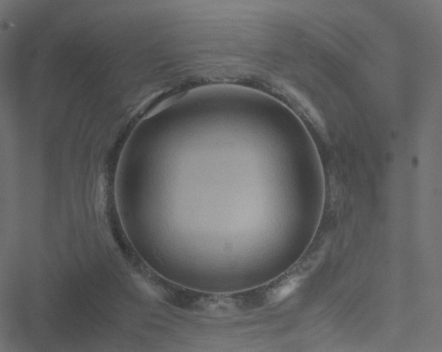 X0000051240113200506241531