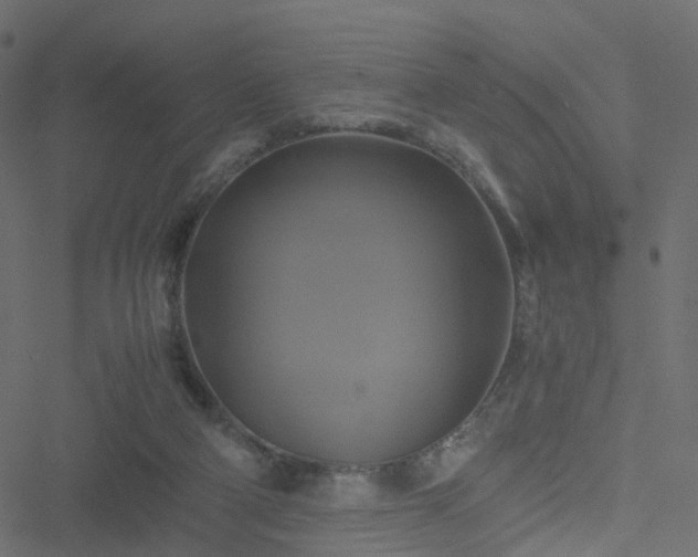 X0000051240114200506241531