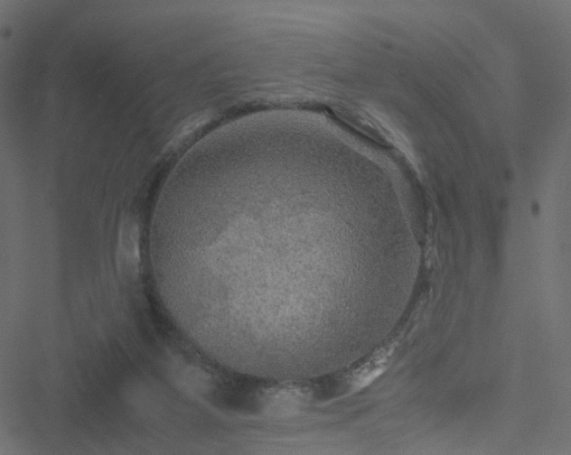 X0000051240115200506241531