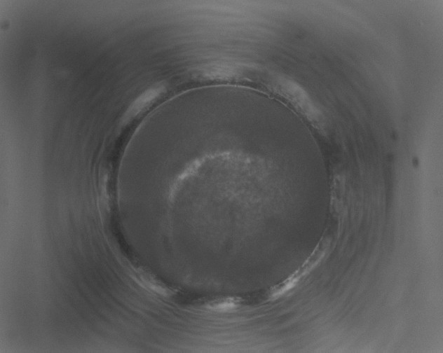 X0000051240116200506241531