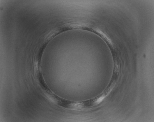 X0000051240117200506241531