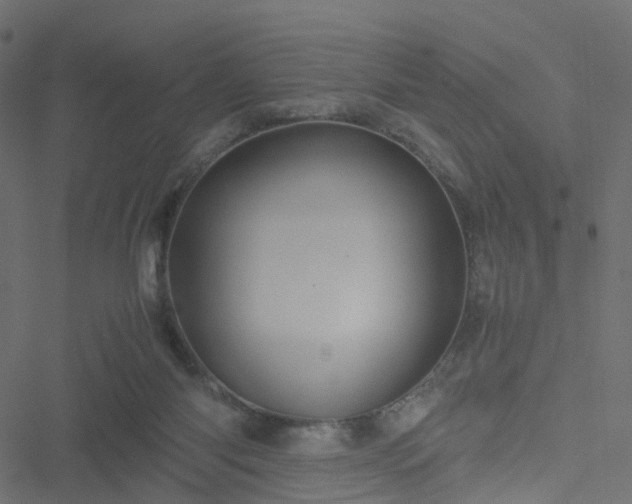 X0000051240118200506241531