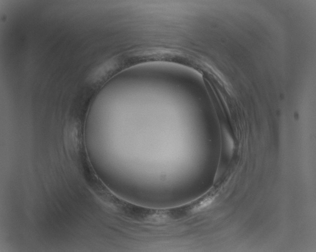 X0000051240119200506241531