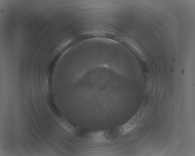 X0000051240120200506241531