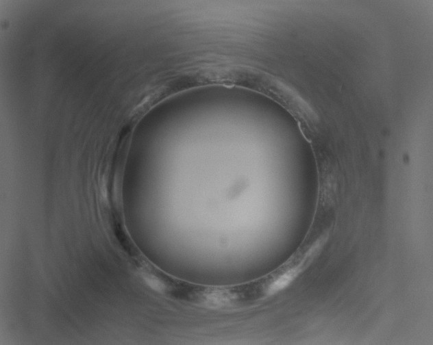 X0000051240121200506241531