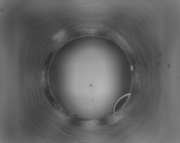 X0000051240122200506241531