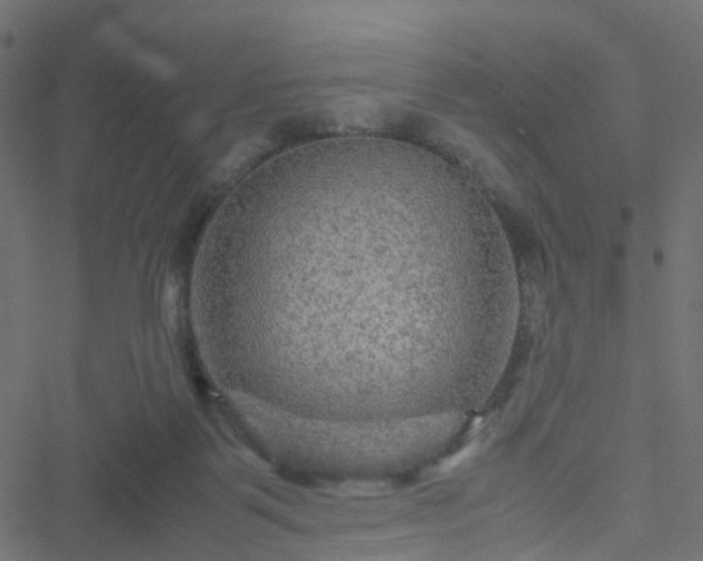 X0000051240123200506241531