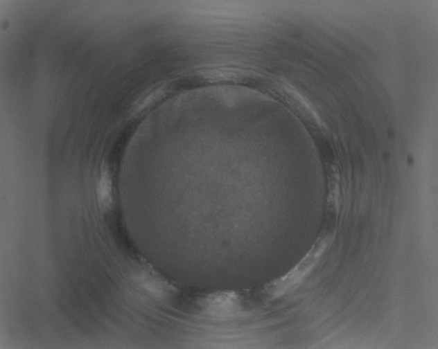 X0000051240124200506241531