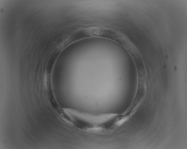 X0000051240125200506241531